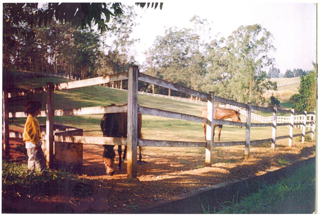 Rafa e cavalo.jpg